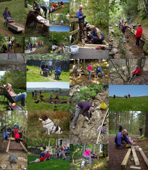 Examples of SACV volunteers at work!