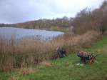 1 – SACV – reed beds in Chorlton Water&nbsp;Park