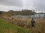 2 – SACV – reed beds in Chorlton Water&nbsp;Park