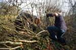 SACV – Alderley Edge hedgelaying 13-01-2013&nbsp;12-20-42