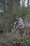 SACV – Alderley Edge hedgelaying 13-01-2013&nbsp;13-39-32