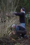 SACV – Alderley Edge hedgelaying 13-01-2013&nbsp;13-42-48