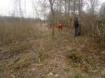 SACV – reedbed work at Chorlton Water&nbsp;Park
