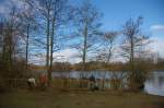 SACV – reedbed work at Chorlton Water&nbsp;Park