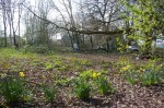 Volunteers at work – woodland at Priory&nbsp;Gardens