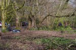 Woodland management at Priory Gardens&nbsp;2