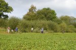 Volunteers at work by the hidden bird&nbsp;screen