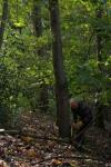 Volunteer at work in the woods&nbsp;1