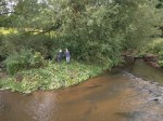 Volunteers after tackling a patch of Himalayan&nbsp;balsam