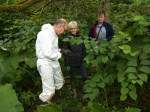 Volunteers preparing to inject Japanese&nbsp;knotweed