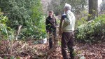 Volunteers clearing rhododendron&nbsp;2