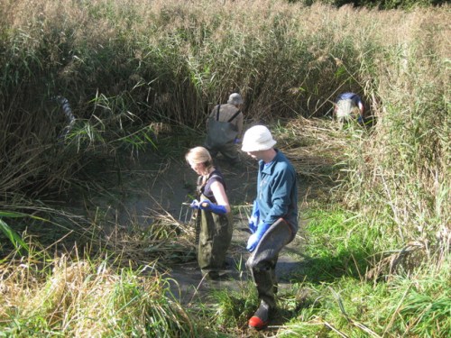 Volunteers getting started