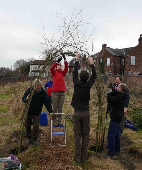 Constructing willow arch