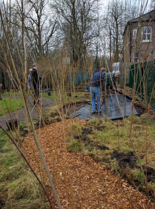 Laying membrane and woodchip