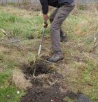 preparing-holes-for-willow-arch-3