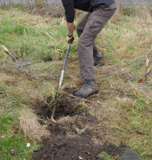 Preparing holes for willow arch