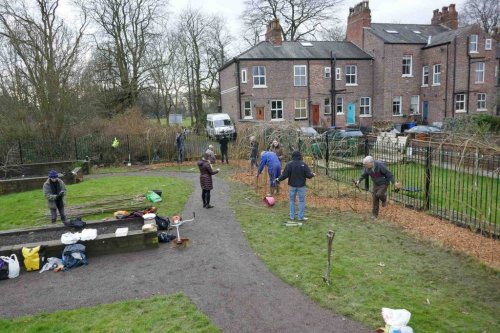 Willow tunnel in progress