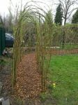Completed willow arch and&nbsp;path