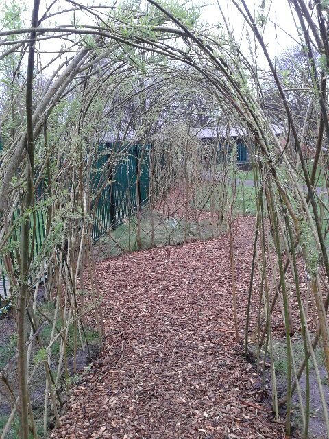Completed willow arch and path