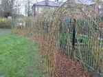 Completed willow arch and&nbsp;path