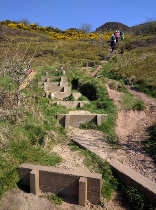 Before starting - steps in need of edging