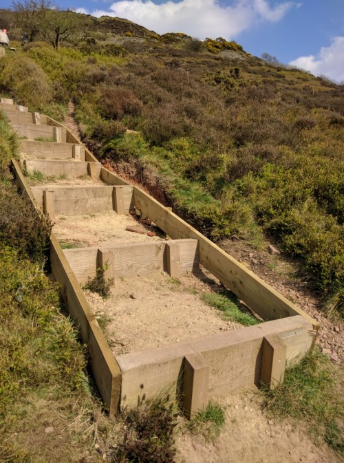 Completed steps with edge boards