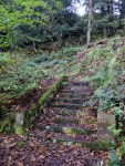 Steps at Errwood&nbsp;Hall