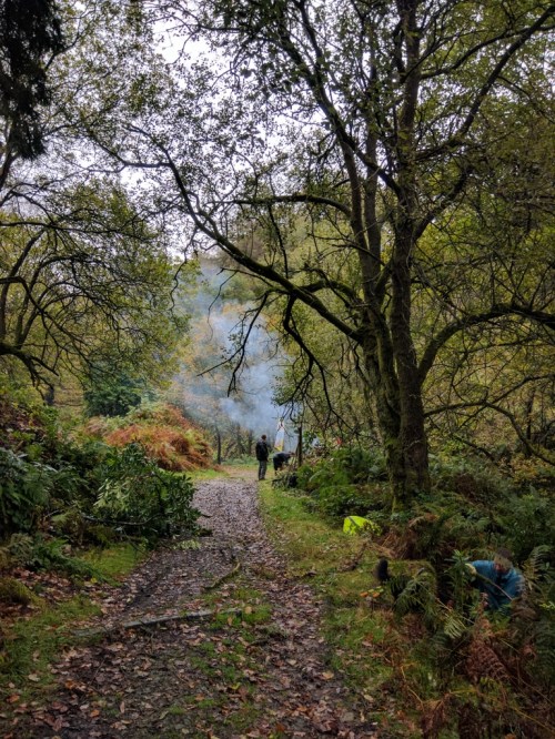 Volunteers at work 1