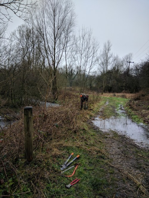 Volunteer - working on removing fence