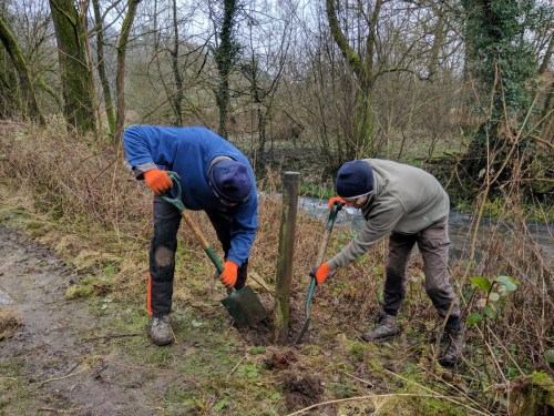 Volunteers - working on removing fence