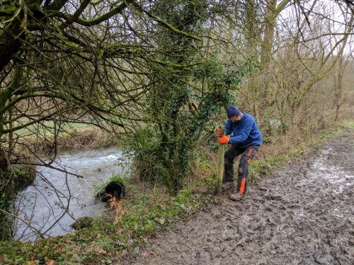 Volunteers - working on removing fence