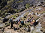 Guided walk near&nbsp;Glendalough