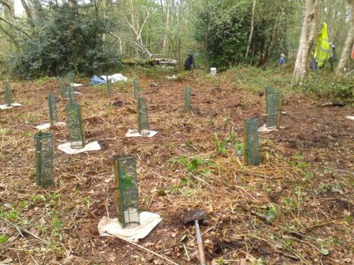 Planting in progress