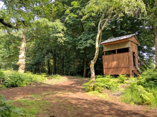 Path and bird hide
