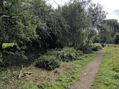 Work done - a clearer bank