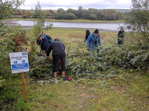 Volunteers at work 3