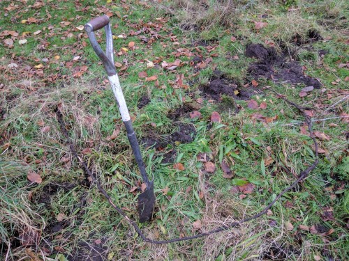 Removing blackthorn root from grass
