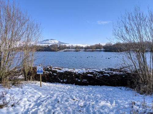 Our hedge from October