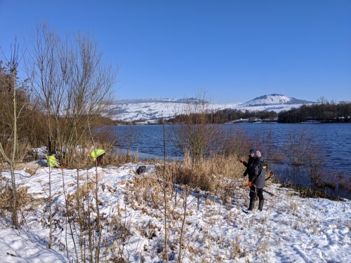 Volunteers at work - coppicing willow