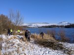 Volunteers at work – coppicing&nbsp;willow