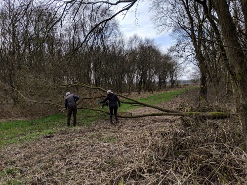 Volunteers clear fallen tree