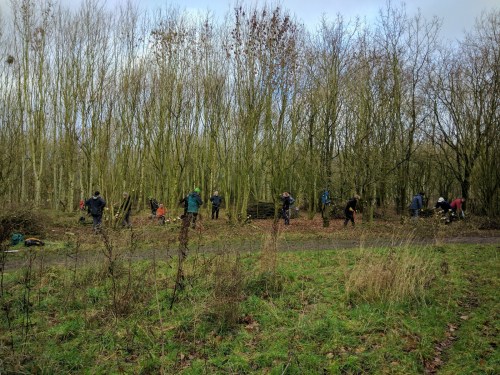Volunteers coppicing