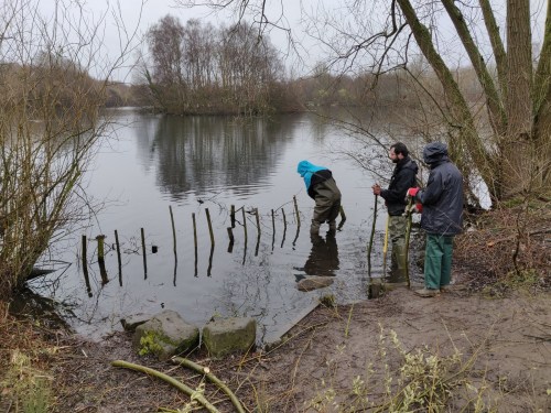 Starting work on willow groyne