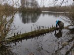 Work on willow groyne in&nbsp;progress