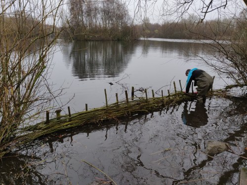 Work on willow groyne in progress