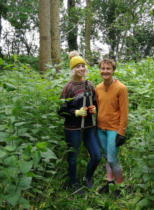 Cheerful volunteers after work well done!