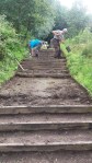 Volunteers working on&nbsp;steps