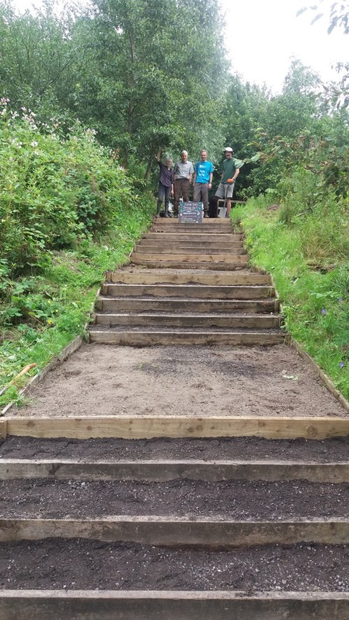 Volunteers and the finished steps