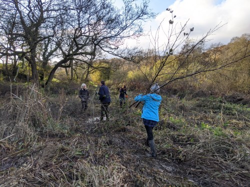 Conservation volunteers at work