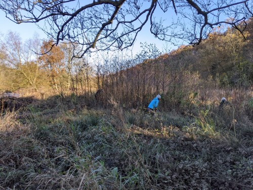 Getting started on clearing